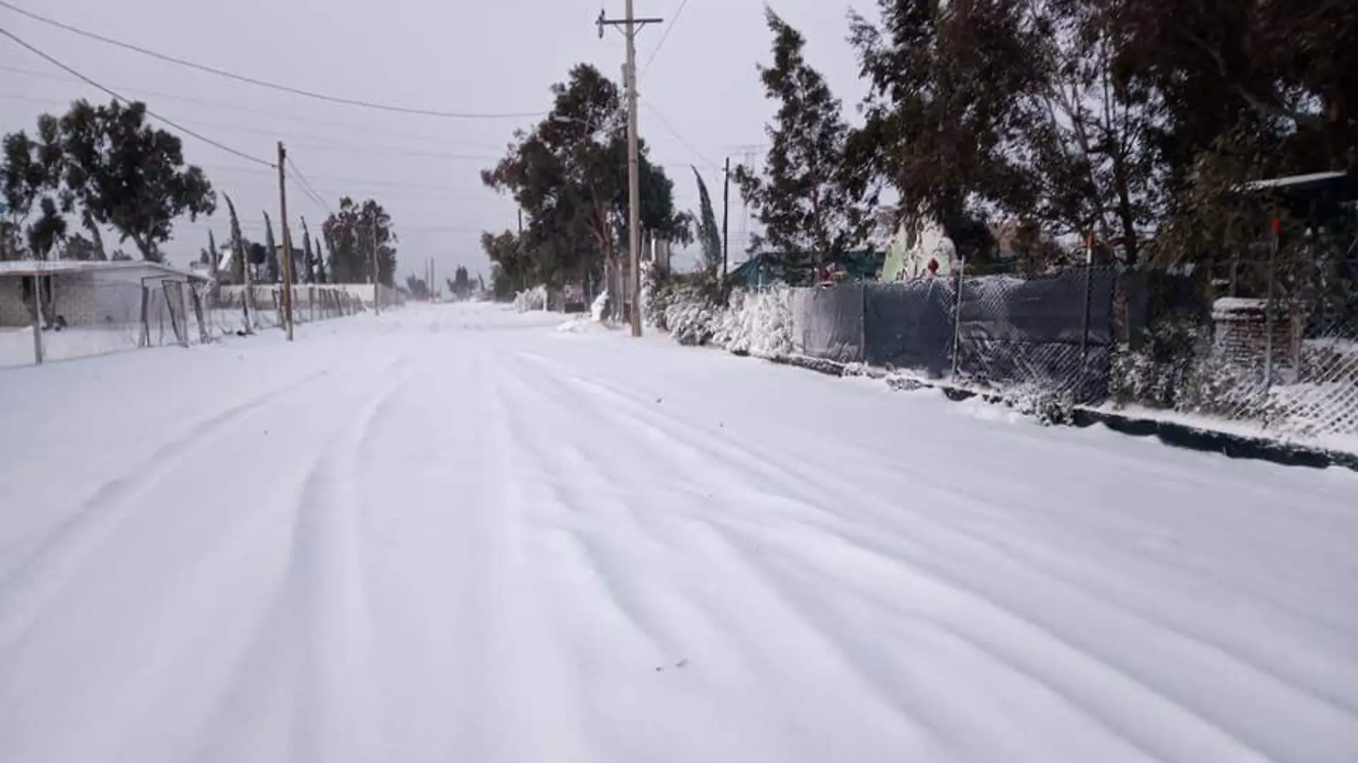 “Hacía años que no caía tal cantidad de nieve”